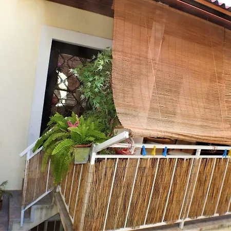 Daire Kovacic_grubisic Split